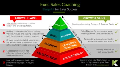 affordable executive sales coaching